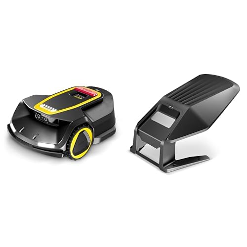 Kärcher RCX 6