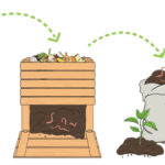 Kompost Zyklus - Vom organischen Abfall zu wertvollem Humus